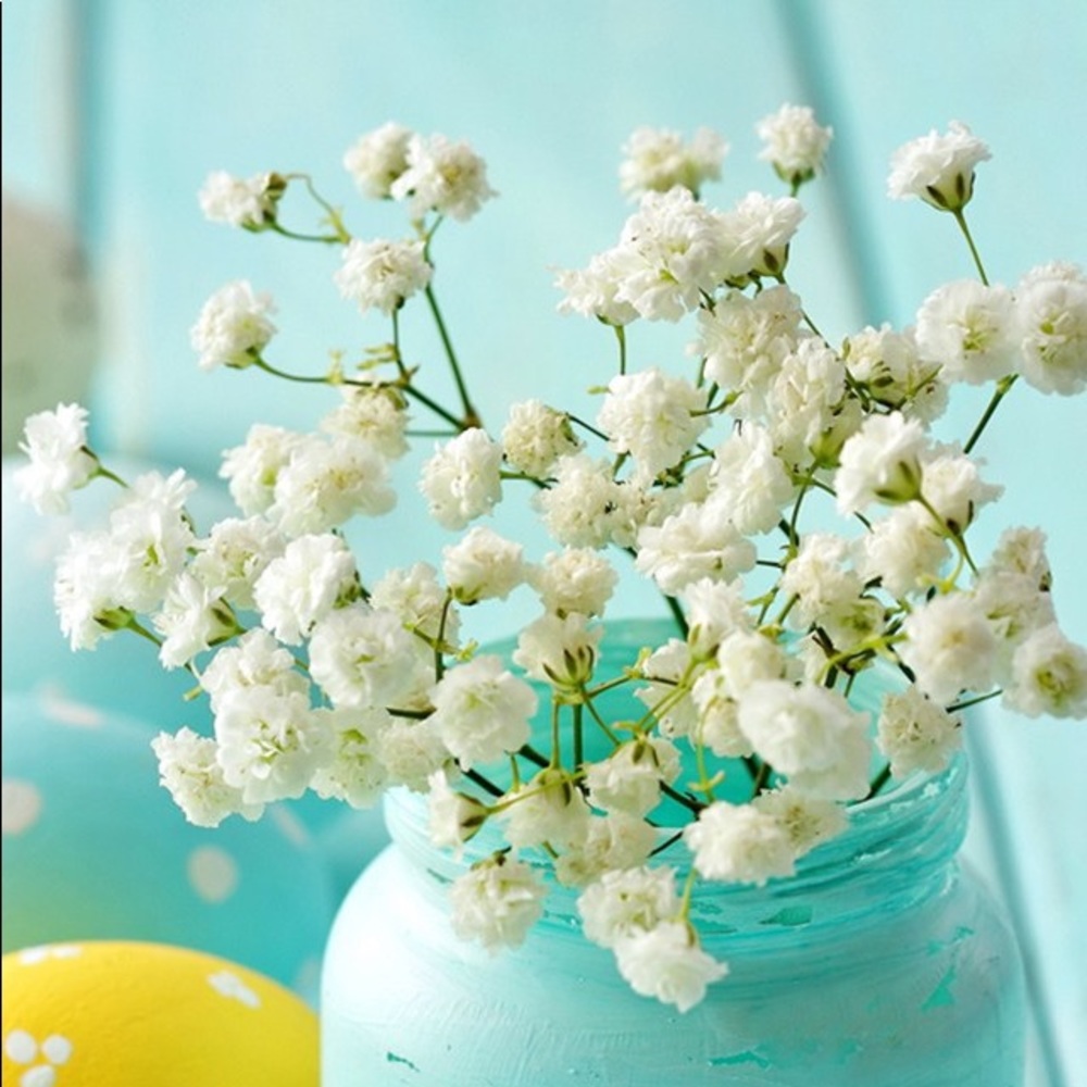 Meet your Posher, Larrissa